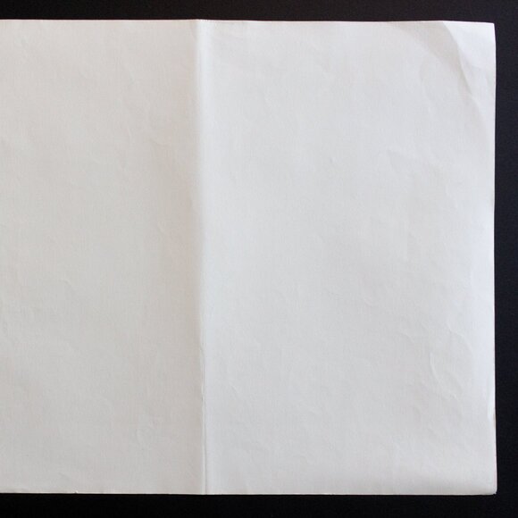 THE APACHE REAPER #66 Edward Sheriff Curtis Print - Picture 7 of 7